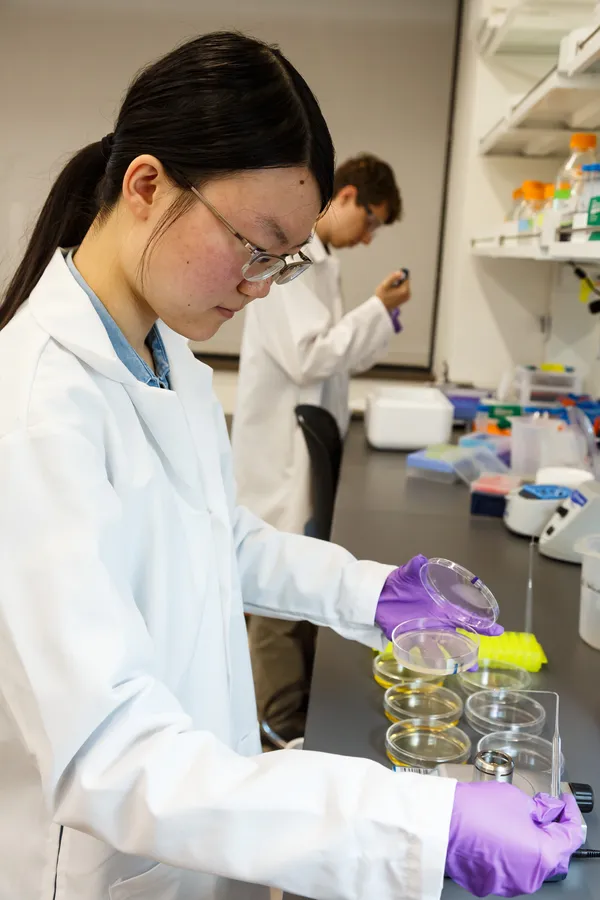A day in Lab