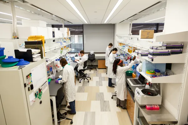 A day in Lab